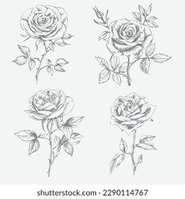 Black and white high-detail rose flower set in engraving style with leaves and stems. Decorative vector elements greeting card, wedding invitation, flower shop. Vector illustration