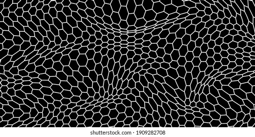 Black and white honey hexagonal cells background. geometric hive hexagonal honeycombs. Vector illustration
