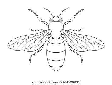 Black and White Honeybee Vector Clipart. Coloring Page of a Honeybee