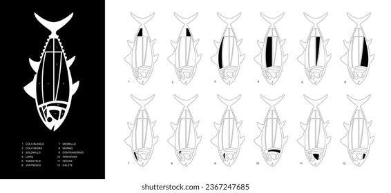 Black and white horizontal Tuna Cuts diagram (ronqueo). Parts of tuna written in Spanish. 