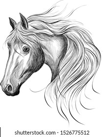 black white horse head sketch vector