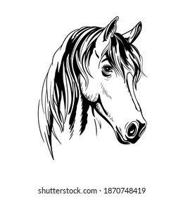 Black and white Horse portrait. Monochrome hand drawn Sketch vector Illustration.Graphics, giclee, invitation