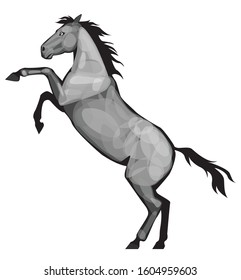 black and white horse is rearing up