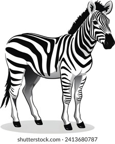 black and white horse vector