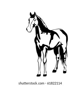 black and white horse vector illustration