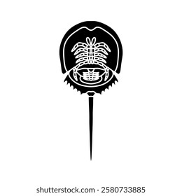 black and white horseshoe crab vector illustration. Antique animal illustration