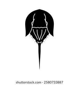 black and white horseshoe crab vector illustration. Antique animal illustration