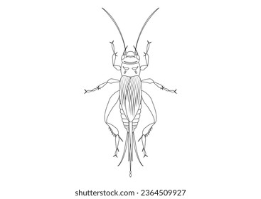 Black and White House Cricket Clipart. Coloring Page of House Cricket