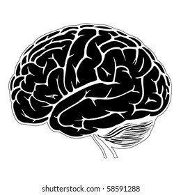 black and white human brain
