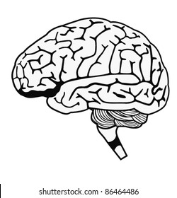 black and white human brain. eps10