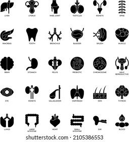 Black and white Human organs flat vector icon collection set