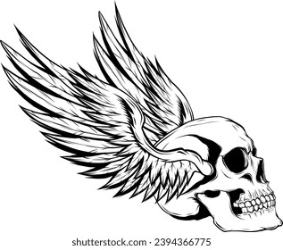 Black and white human skull