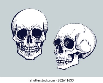 Black and white human skull