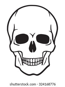 Black and white human skull