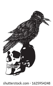 Black and white human skull with crow grunge illustration.