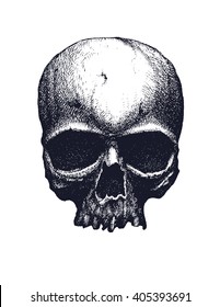 Black and white human skull. Hand drawn vector illustration