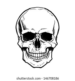 Black and white human skull with a lower jaw.