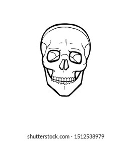 Black and white human skull with a lower jaw. Vector logo illustration