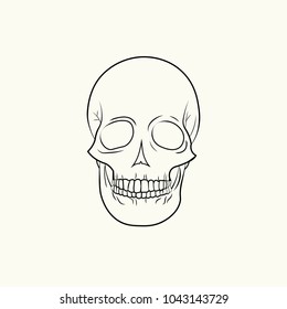 Black and white human skull. Vector illustration.