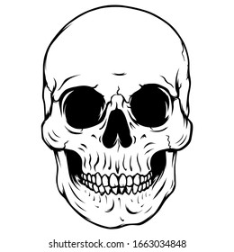 Black and white human skull vector illustration