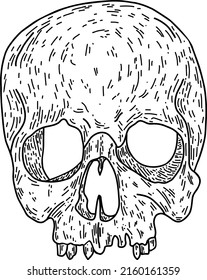 Black   white human skull without lower jaw  Vector line  art illustration 