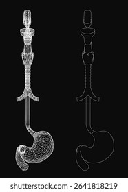 A black and white human stomach drawing on a dark background features a cylindrical top and elongated base with intricate detailing. The structure resembles a human stomach, with flowing curves and pr