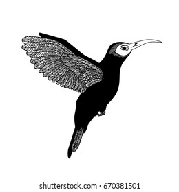 Black and white hummingbird. Isolated. Can be used as a logo.