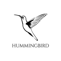 Black And White Hummingbird Vector Illustration 06
