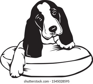 Black White Illustratioin Basset Hound Puppy Stock Vector (Royalty Free