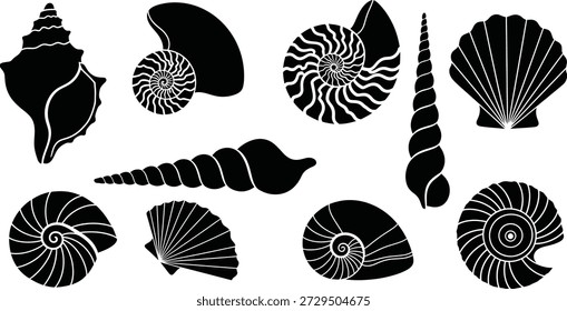 Ilustração em preto e branco de 9 conchas diferentes na silhueta, mostrando desenhos em espiral, curvos e texturizados