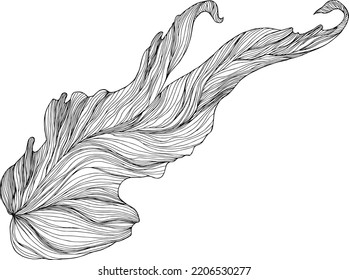 Black and white illustration of abstract composition