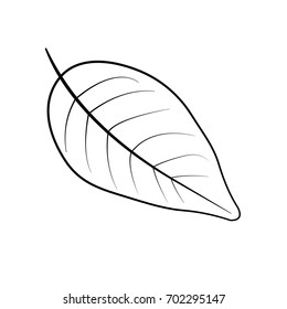 Black White Illustration Abstract Leaf Ready Stock Vector (Royalty Free ...