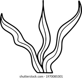 Black and white illustration of algae. Illustration for postcards, design or print. Vector EPS 10.