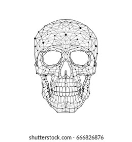 Black and white illustration of an anatomic skull. Low poly wire graphic