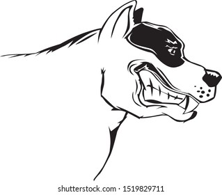 black and white illustration of an angry american pitbull 
