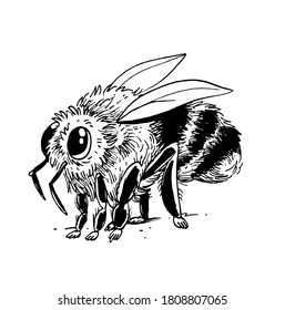 black and white illustration of a bee