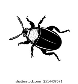 Black and white illustration of a beetle in a detailed line art style. Perfect for scientific, educational, or nature-related projects. Ideal for tattoo designs, posters, or insect-themed artwork.