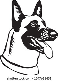 Black And White Illustration Of A Belgian Malinois Dog