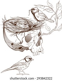 black and white illustration of birds making a nest in animal skull