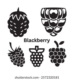 A black and white illustration of a blackberry