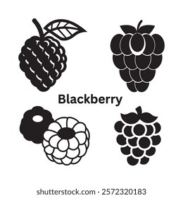 A black and white illustration of a blackberry