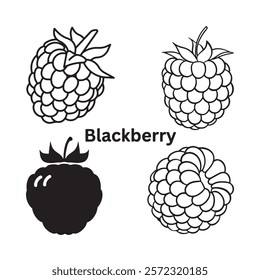 A black and white illustration of a blackberry