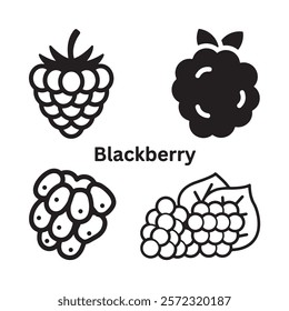 A black and white illustration of a blackberry