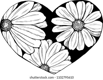 Black and white illustration of a bouquet of chamomil. Everything is love