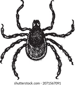  Black And White Illustration Of Bug, Tick 