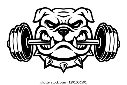 Black and white illustration of a bulldog with dumbbell on the white background.