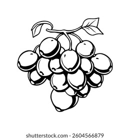 Black And White Illustration Of A Bunch Of Grapes