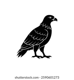 A black and white illustration of a buzzard bird, showcasing its detailed feathers and strong posture