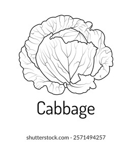 Black and white illustration of a cabbage with the text "Cabbage." Simple vegetable design for educational materials, coloring pages, culinary projects, or botanical studies.