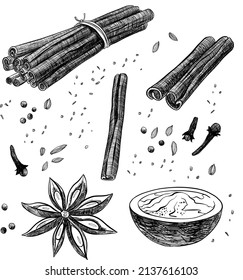 black and white illustration cinnamon sticks star anise pepper cloves salt in a cup spices liner or pencil